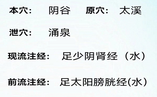 子午经络APP界面展示一