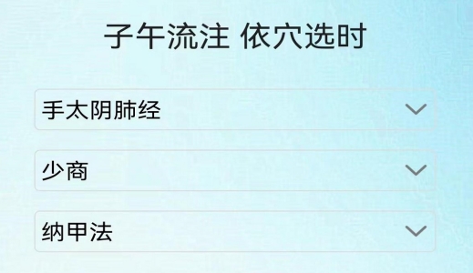 子午经络APP界面展示四